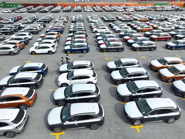 D&#224;n xe điện VinFast xếp h&#224;ng tại cảng Hải Ph&#242;ng chờ l&#234;n t&#224;u sang Mỹ - Ảnh 3