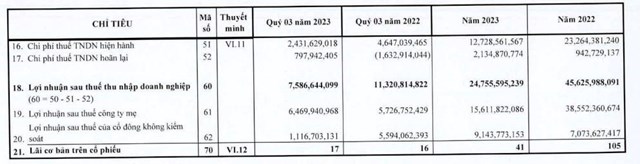 D&#249; l&#227;i qu&#253; III/2023 giảm mạnh, SAM Holdings (SAM) bảo l&#227;nh cho c&#244;ng ty con vay vốn ng&#226;n h&#224;ng 5 triệu USD - Ảnh 2