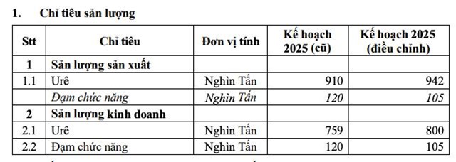 Ph&#226;n b&#243;n C&#224; Mau (DCM): N&#226;ng chỉ ti&#234;u kinh doanh năm 2025, đặt mục ti&#234;u của năm 2026 &#39;thận trọng&#39; - Ảnh 1