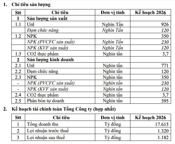 Ph&#226;n b&#243;n C&#224; Mau (DCM): N&#226;ng chỉ ti&#234;u kinh doanh năm 2025, đặt mục ti&#234;u của năm 2026 &#39;thận trọng&#39; - Ảnh 4