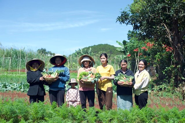 S&#226;n chơi đại si&#234;u thị - si&#234;u thị Việt Nam: Thaco, Kido c&#249;ng &quot;tăng tốc&quot; hiện diện tại Việt Nam, cố đuổi kịp tập đo&#224;n ngoại Lotte, Aeon  - Ảnh 1