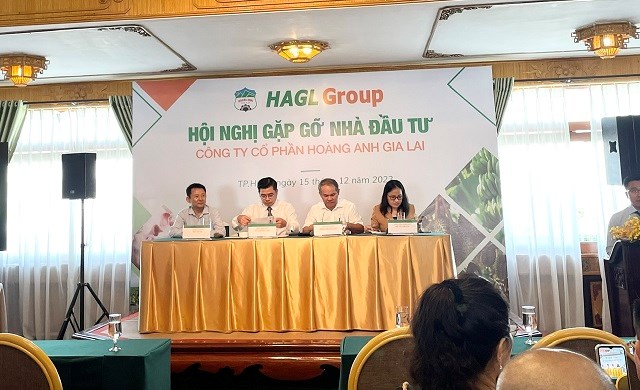 Ho&#224;ng Anh Gia Lai (HAG) sắp b&#225;n tiếp Bệnh viện Ho&#224;ng Anh Gia Lai, x&#243;a lỗ lũy kế l&#224; mục ti&#234;u h&#224;ng đầu - Ảnh 1