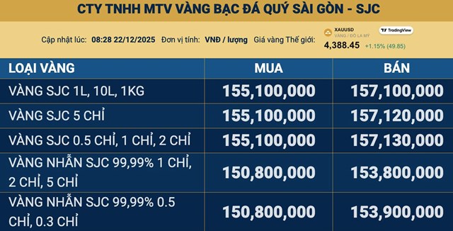 Giá vàng ngày 22/12: Vàng thế giới tăng nhẹ, vàng miếng SJC và vàng nhẫn đi lên - Ảnh 1