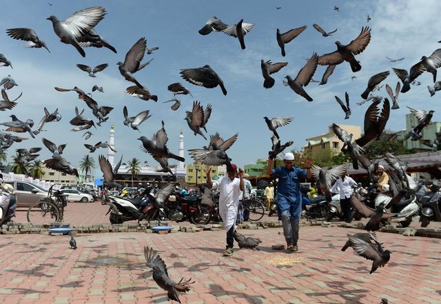 Chennai l&agrave; một trung t&acirc;m văn h&oacute;a, kinh tế, gi&aacute;o dục lớn nhất ở miền nam Ấn Độ. Ảnh: AFP