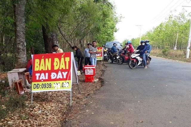 Nhu cầu v&agrave; c&aacute;c giao dịch về đất đ&atilde; diễn ra rất mạnh trong thời gian gần đ&acirc;y.