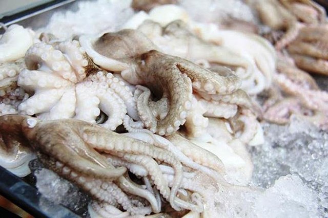 Bạch tuộc cũng l&agrave; mặt h&agrave;ng xuất khẩu được nhiều quốc gia ưa chuộng.