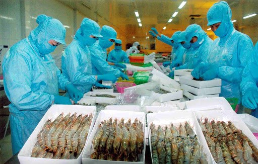 Dự thảo ghi nh&atilde;n h&agrave;ng h&oacute;a của Bộ Khoa học v&agrave; C&ocirc;ng nghệ c&ograve;n nhiều điểm chưa hợp l&yacute;. Ảnh: Vasep.com.vn