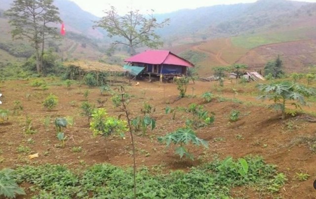 Một trang trại ở v&ugrave;ng ven H&agrave; Nội đang được rao b&aacute;n.&nbsp;