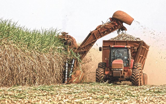 Hơn một nửa số nh&#224; m&#225;y m&#237;a đường đang hoạt động bị thua lỗ  - Ảnh 1