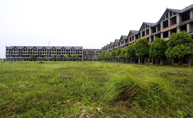 Đại gia điện v&#224; bất động sản đề xuất chuyển đất rừng để l&#224;m dự &#225;n điện gi&#243; l&#224; ai? - Ảnh 1