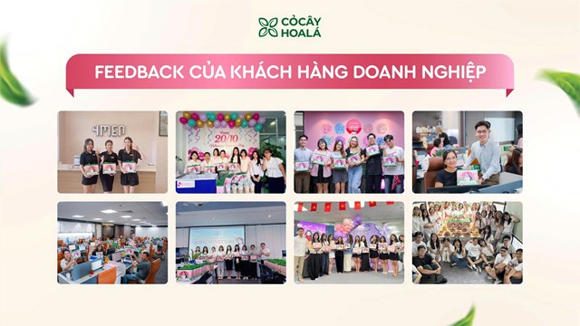 Quà tặng doanh nghiệp từ Cỏ Cây Hoa Lá: Trao giá trị xanh - Gửi trọn tâm ý - Ảnh 4