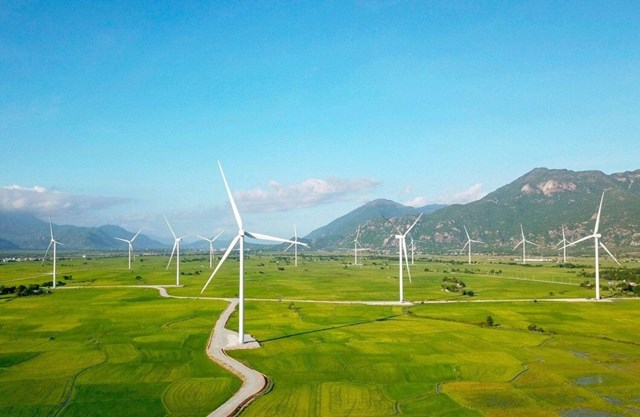 Một c&aacute;nh đồng điện gi&oacute; ở Ninh Thuận. Ảnh: Tổng cục Du lịch Việt Nam.&nbsp;