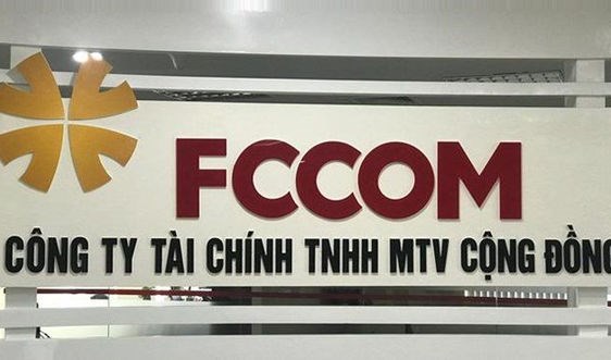 Ng&#226;n h&#224;ng mẹ đang g&#243;p vốn ra sao v&#224;o c&#225;c c&#244;ng ty t&#224;i ch&#237;nh? - Ảnh 5