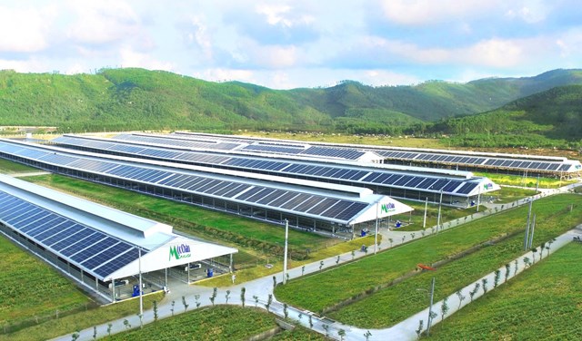 Trang trại sinh th&aacute;i, b&ograve; sữa c&ocirc;ng nghệ cao Mộc Ch&acirc;u