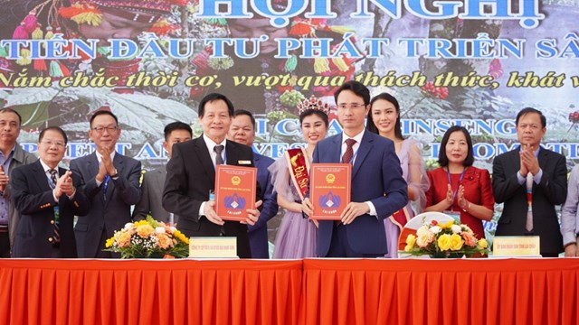 Đại Nam Sơn Group: Kh&#225;t vọng viết t&#234;n S&#226;m Việt Nam tr&#234;n bản đồ n&#244;ng dược thế giới - Ảnh 3
