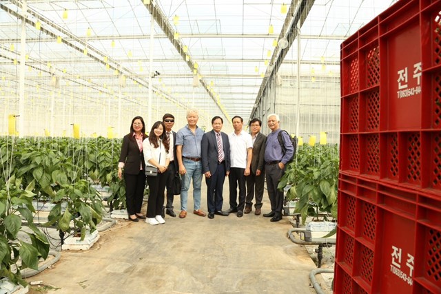 Đại Nam Sơn Group: Kh&#225;t vọng viết t&#234;n S&#226;m Việt Nam tr&#234;n bản đồ n&#244;ng dược thế giới - Ảnh 1