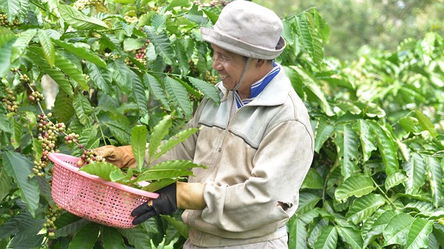 &#212;ng H&#224; Văn Thắng – Chủ tịch Hội đồng Doanh nghiệp n&#244;ng nghiệp Việt Nam: “Năm 2024 l&#224; cơ hội cho ph&#225;t triển n&#244;ng nghiệp c&#244;ng nghệ cao!” - Ảnh 6