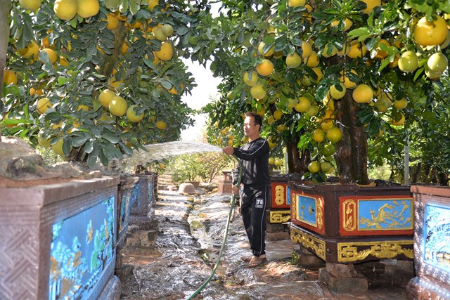 Hưng Yên: Điểm sáng về phát triển kinh tế - xã hội và xây dựng nông thôn mới - Ảnh 4