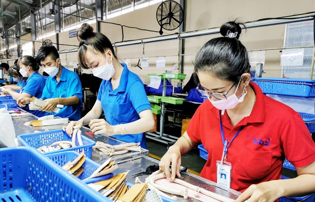 Ch&#237;nh s&#225;ch t&#224;i kh&#243;a v&#224; tiền tệ: Động lực phục hồi nền kinh tế! - Ảnh 1