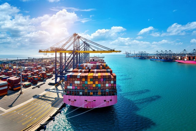 Xuất nhập khẩu Việt Nam 2024: Bức tranh đầy sắc m&#224;u - Ảnh 1