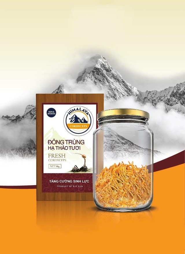 Đ&#244;ng tr&#249;ng hạ thảo cao cấp Himalaya: Uy t&#237;n từ sự kh&#225;c biệt!  - Ảnh 2