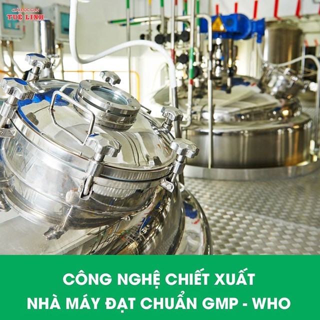 Dược Tuệ Linh: Đồng h&#224;nh c&#249;ng c&#226;y thuốc Việt  - Ảnh 4