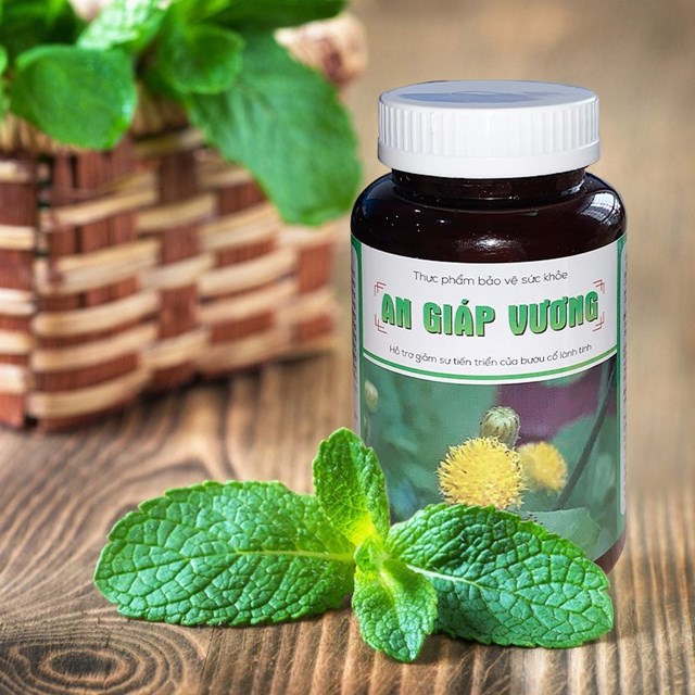Hỗ trợ điều trị bệnh tuyến gi&#225;p c&#249;ng An Gi&#225;p Vương  - Ảnh 1