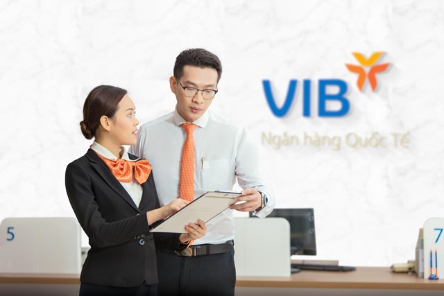 VIB: triển vọng tăng trưởng ổn định v&#224; bền vững  - Ảnh 2
