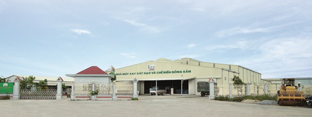 Gạo Hưng C&#250;c: Thơm hương qu&#234; l&#250;a Th&#225;i B&#236;nh  - Ảnh 1