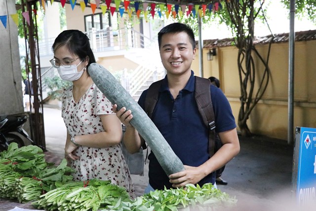 Đại lý cung ứng rau sạch cho nhân viên