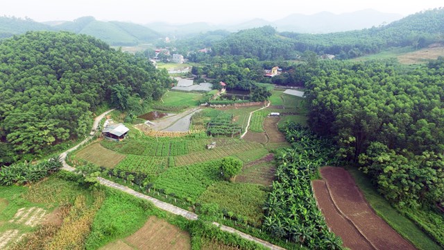 Trang trại Flycam