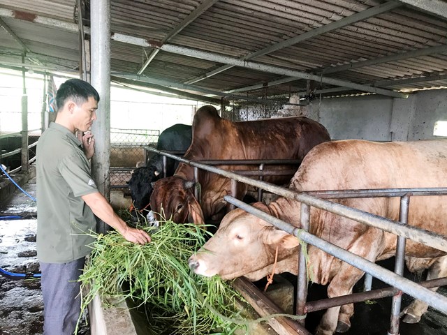 Huyện Lạng Giang (Bắc Giang): Nhiều điểm s&#225;ng trong bức tranh kinh tế - x&#227; hội  - Ảnh 2