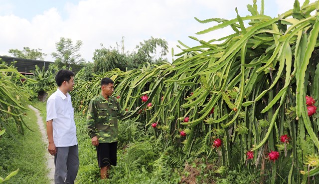Huyện Lạng Giang (Bắc Giang): Đẩy nhanh tiến độ x&#226;y dựng n&#244;ng th&#244;n mới - Ảnh 3
