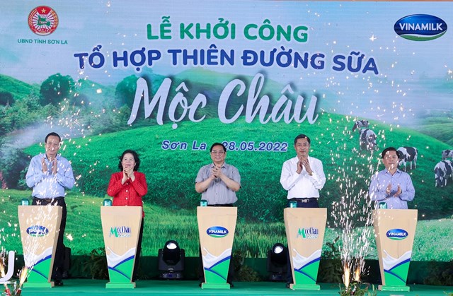 Xu&#226;n về tr&#234;n thi&#234;n đường sữa Mộc Ch&#226;u - Ảnh 1