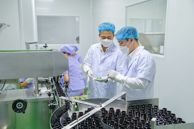Viên Thảo Mộc Thiên Việt An trải qua quy trình sản xuất nghiêm ngặt