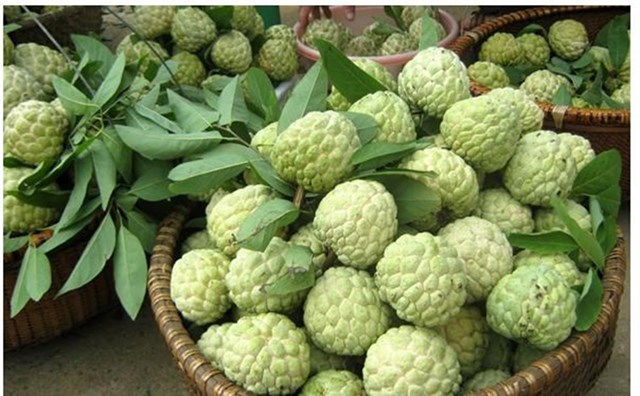 M&atilde;ng cầu B&agrave; Đen.