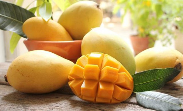Xo&agrave;i c&aacute;t Ho&agrave; Lộc