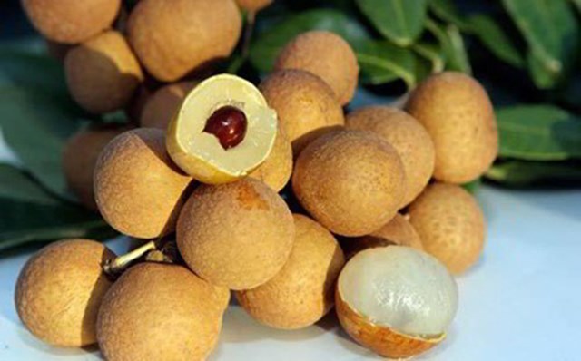 Những tr&aacute;i nh&atilde;n ch&iacute;n m&agrave;u v&agrave;ng sẫm.
