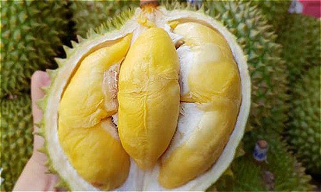 Sầu ri&ecirc;ng Ngũ Hiệp.