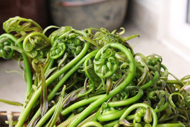 Rau đọt choại Hậu Giang.