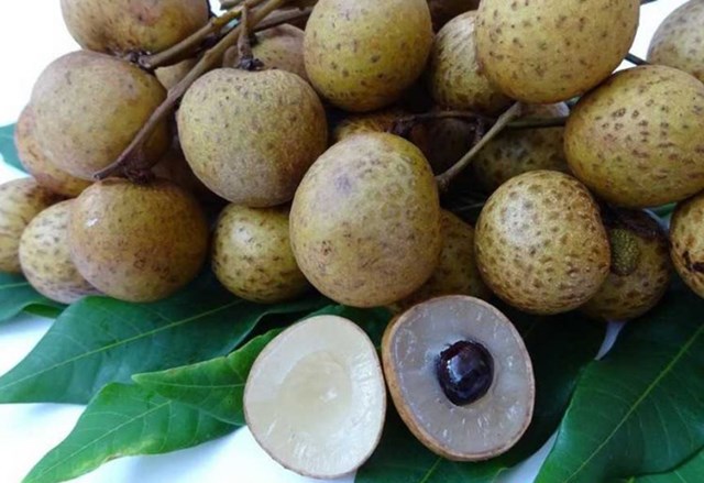 Kh&#225;m ph&#225; sản vật miền Nam Việt Nam (Kỳ 9): sen Th&#225;p Mười, phồng t&#244;m Sa Giang, qu&#253;t hồng Lai Vung, xo&#224;i C&#225;t Chu, nh&#227;n Ch&#226;u Th&#224;nh - Ảnh 2