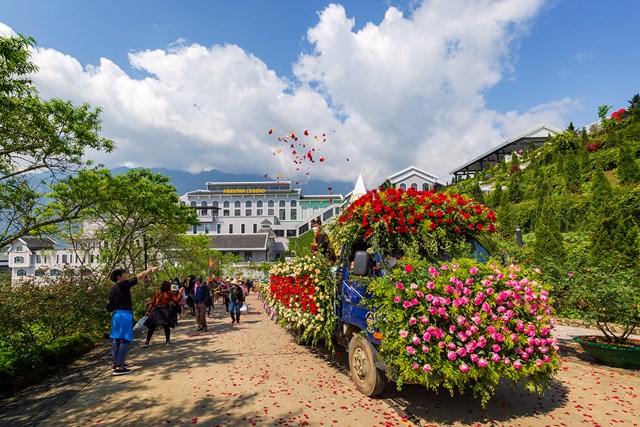 Lễ hội hoa hồng tại Sapa
