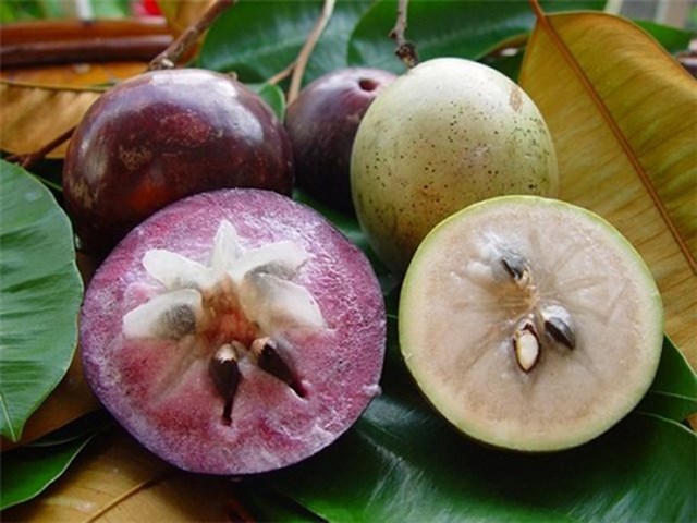 Kh&#225;m ph&#225; sản vật miền Nam Việt Nam (Kỳ 19): cam mật Phong Điền, nem C&#225;i Răng, v&#250; sữa v&#224; qu&#253;t đường Cần Thơ - Ảnh 3