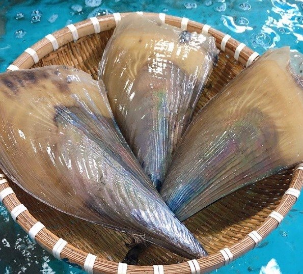 Bi&ecirc;n mai Ph&uacute; Quốc.