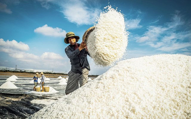 Kh&#225;m ph&#225; sản vật miền Nam Việt Nam (Kỳ 25): gạo Một bụi đỏ Hồng D&#226;n, muối, dừa nước v&#224; bồn bồn Bạc Li&#234;u - Ảnh 1