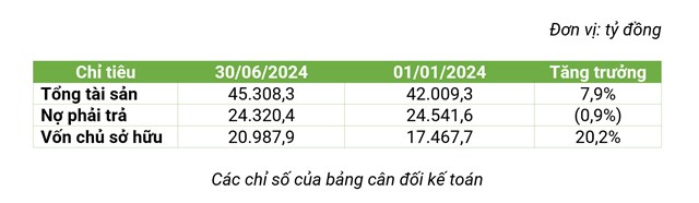 Bamboo Capital (BCG): lợi nhuận sau thuế qu&#253; 2/2024 đạt 318,6 tỷ đồng, tăng trưởng đến 98,2% - Ảnh 2