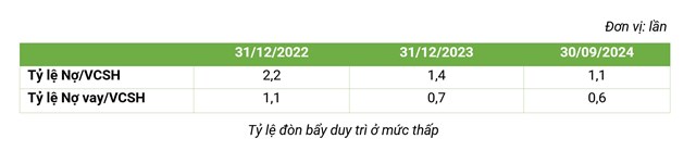 Bamboo Capital (BCG): Lợi nhuận 9 th&#225;ng đầu năm đạt 748 tỷ đồng, tăng gấp 4 lần, chi ph&#237; t&#224;i ch&#237;nh giảm mạnh - Ảnh 3