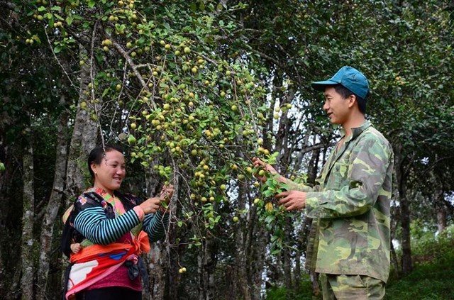 Người d&acirc;n sinh sống b&ecirc;n đ&egrave;o Pha Đin thi đua lao động sản xuất, x&acirc;y dựng cuộc sống ấm no.