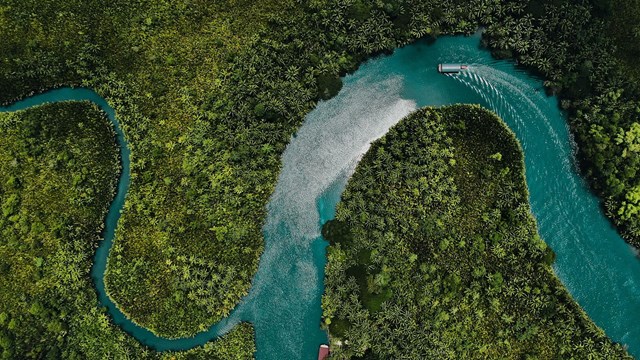 S&ocirc;ng Loboc: Du thuyền tr&ecirc;n s&ocirc;ng Loboc bao gồm tiệc Buffet tự chọn c&aacute;c m&oacute;n Philippines, c&aacute;c buổi biểu diễn, điểm dừng ch&acirc;n đến một v&agrave;i th&agrave;nh phố của Loboc tr&ecirc;n đường đi, nhảy Tinikling v&agrave; bơi lội.