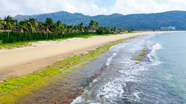 Thi&ecirc;n nhi&ecirc;n ưu &aacute;i cho b&aacute;n đảo Hải Giang vẻ đẹp hiếm c&oacute;.
